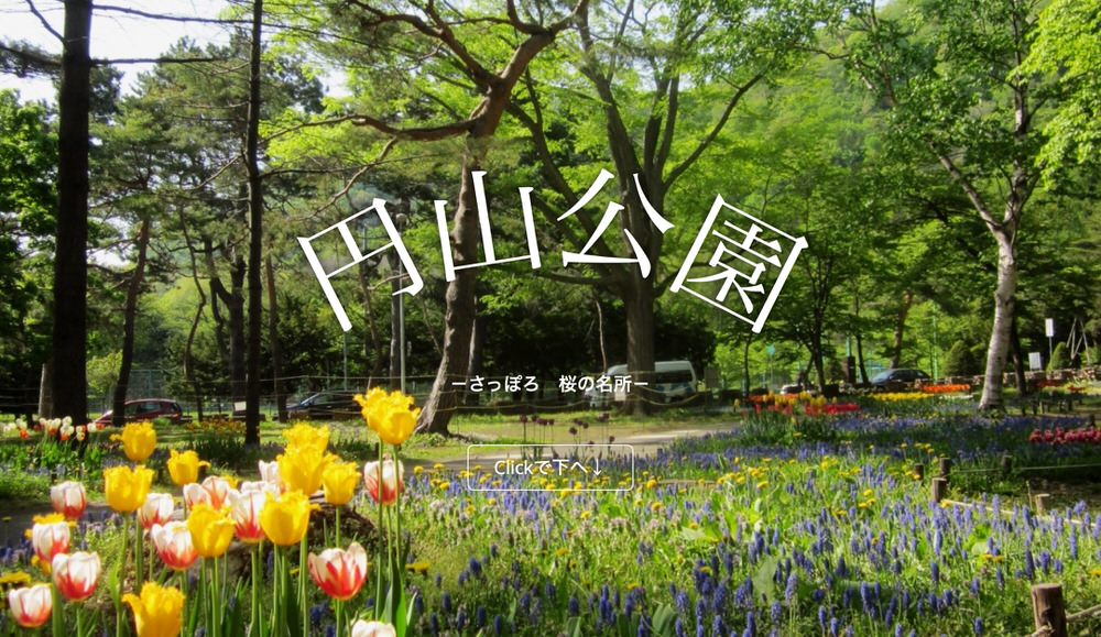 札幌：円山公園