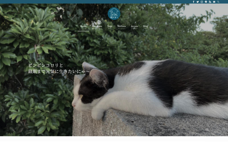 陽だまり