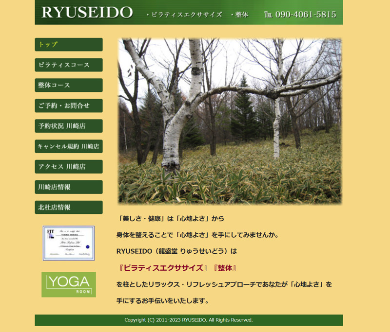 RYUSEIDO
