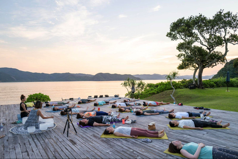 Wellness TRIP