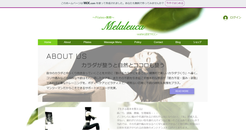Melaleuca